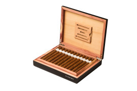 Signature Collection - Churchill Mediano - Box of 24